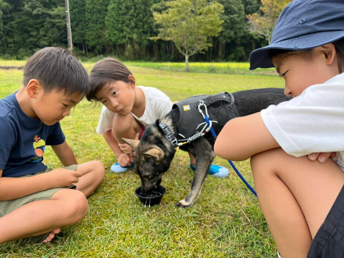 わんちゃんと戯れる様子